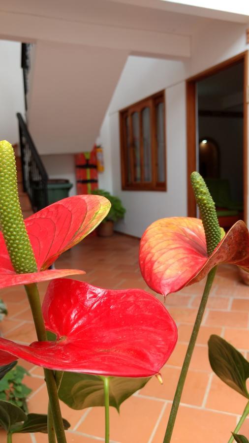 Apartahotel La Gran Familia Villa de Leyva Kültér fotó